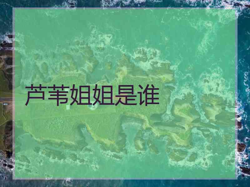 芦苇姐姐是谁