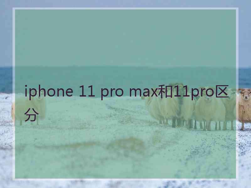iphone 11 pro max和11pro区分