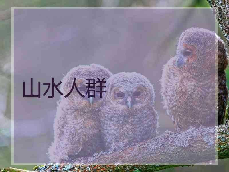 山水人群