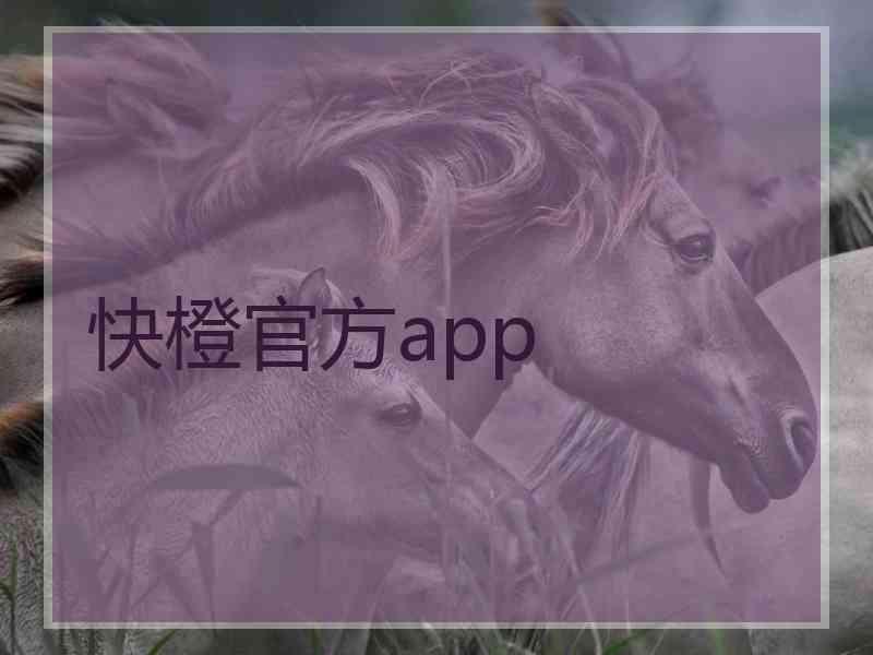 快橙官方app