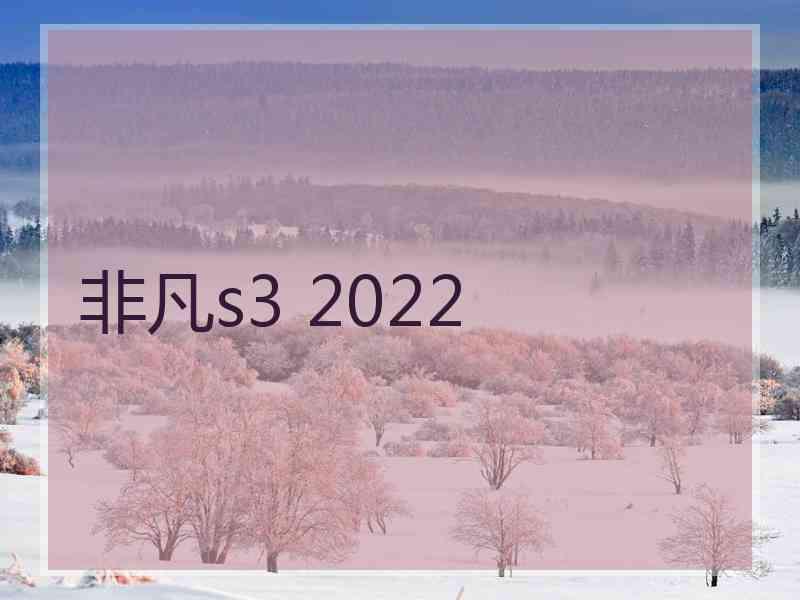 非凡s3 2022