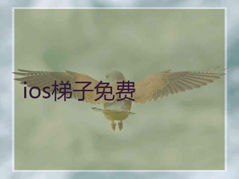 ios梯子免费
