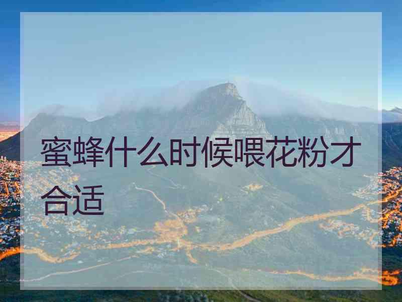 蜜蜂什么时候喂花粉才合适