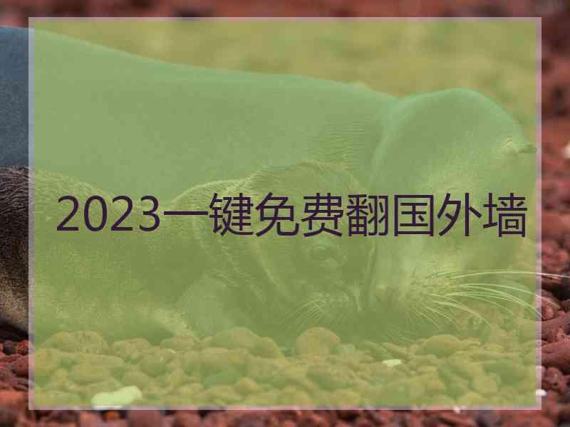 2023一键免费翻国外墙
