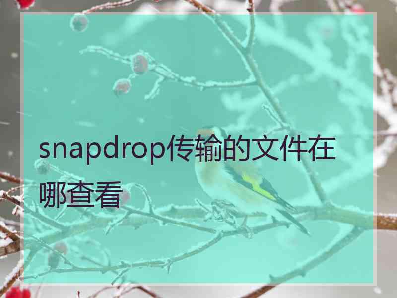 snapdrop传输的文件在哪查看