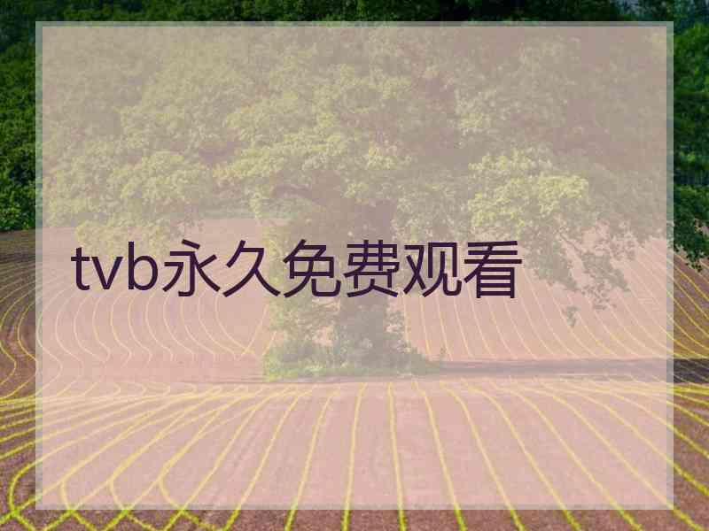 tvb永久免费观看