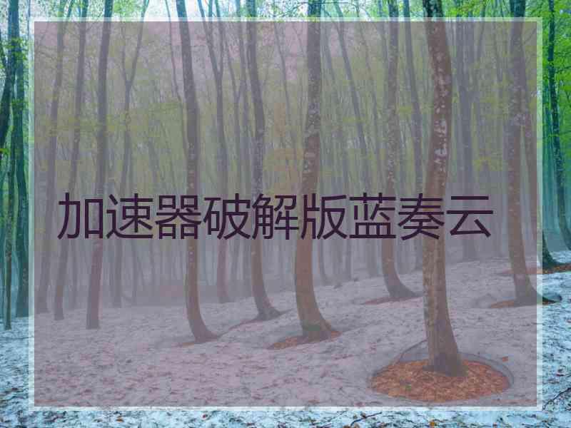 加速器破解版蓝奏云