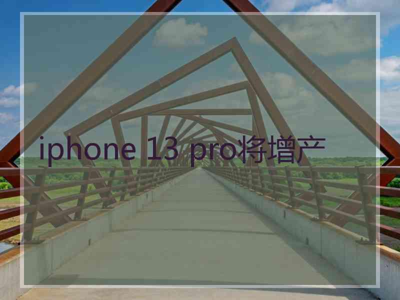 iphone 13 pro将增产