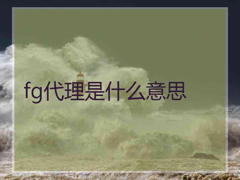 fg代理是什么意思