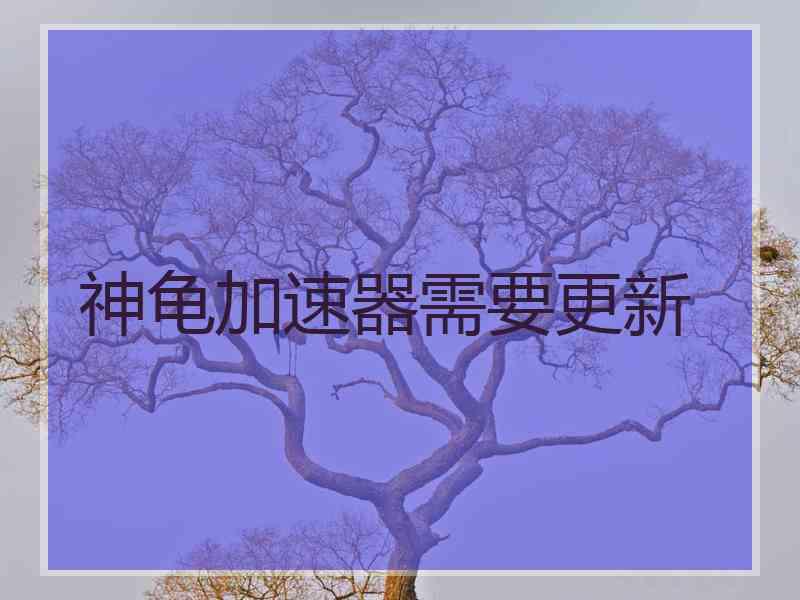 神龟加速器需要更新