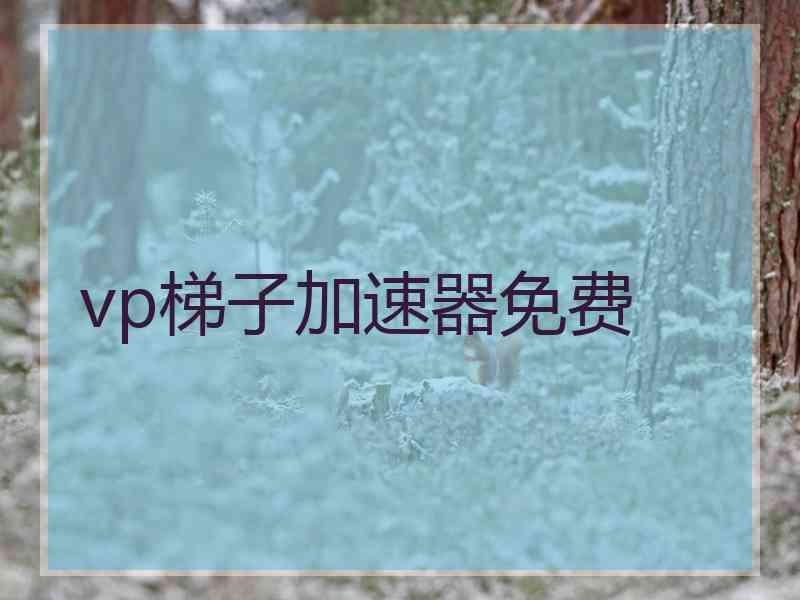 vp梯子加速器免费