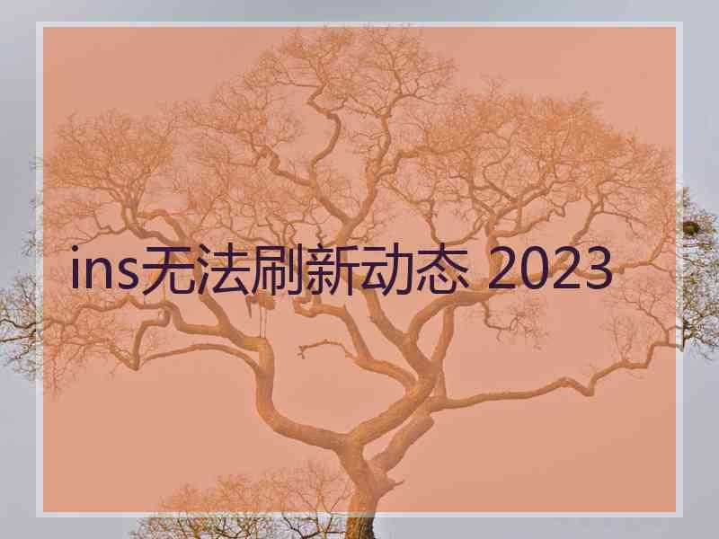 ins无法刷新动态 2023