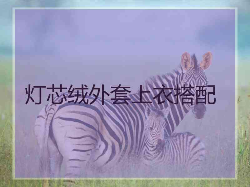 灯芯绒外套上衣搭配