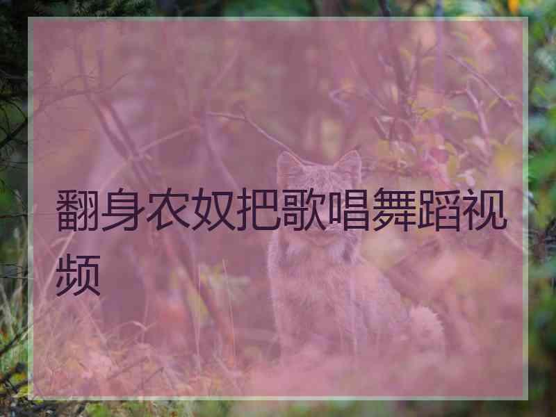 翻身农奴把歌唱舞蹈视频