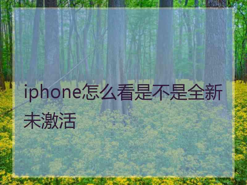iphone怎么看是不是全新未激活