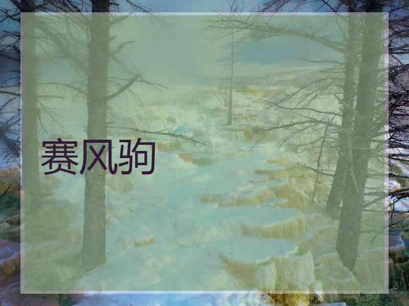 赛风驹