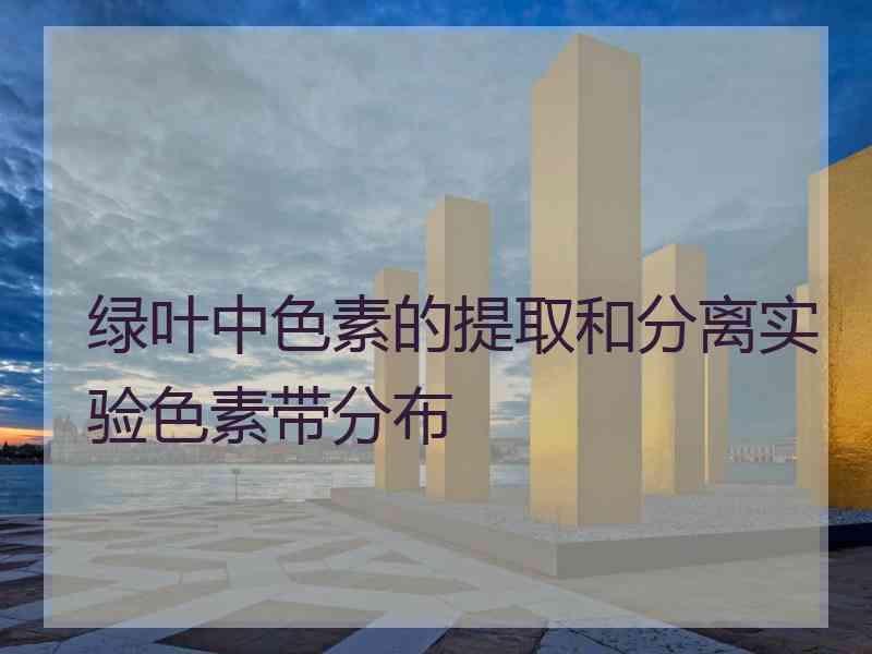 绿叶中色素的提取和分离实验色素带分布