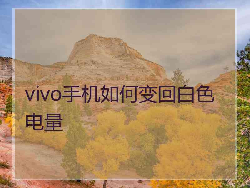 vivo手机如何变回白色电量