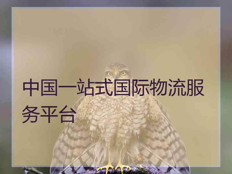 中国一站式国际物流服务平台