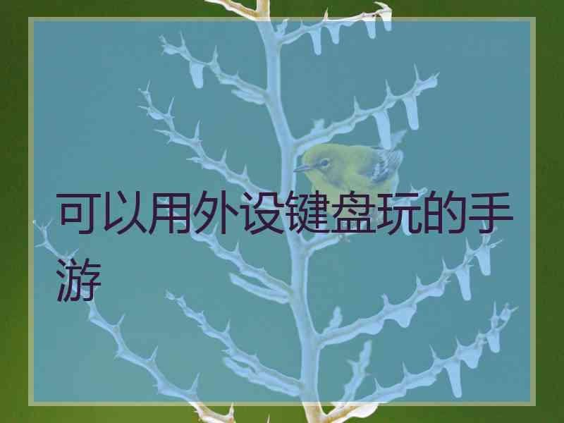 可以用外设键盘玩的手游