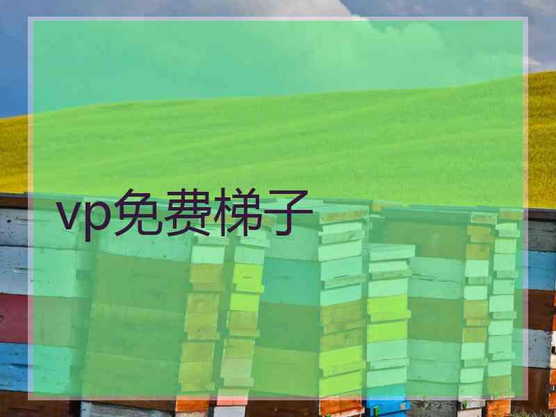 vp免费梯子