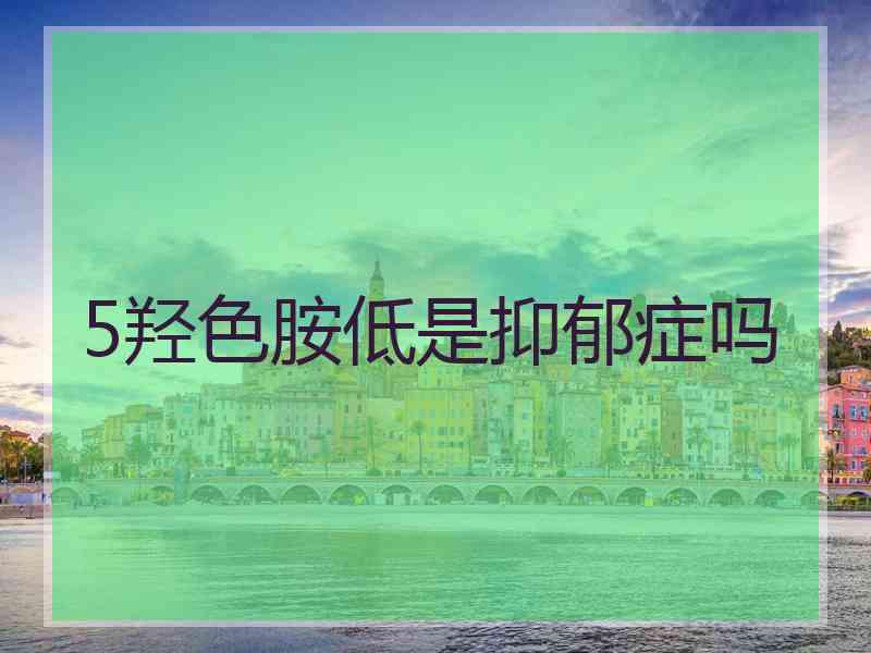 5羟色胺低是抑郁症吗
