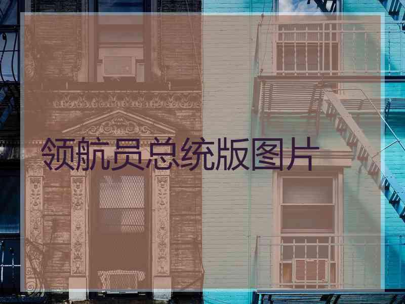 领航员总统版图片