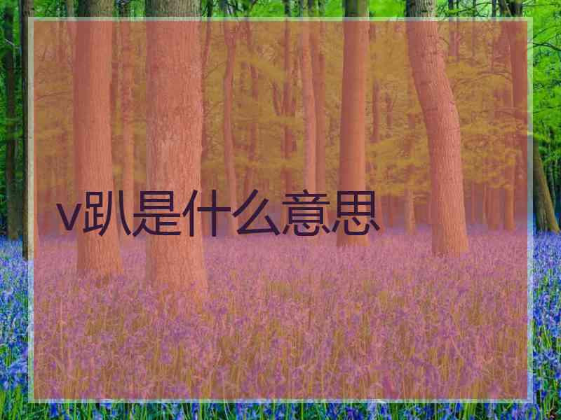v趴是什么意思