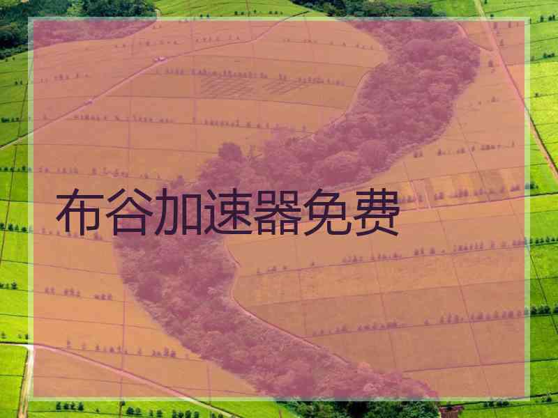 布谷加速器免费
