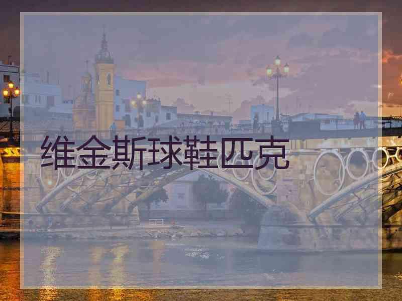 维金斯球鞋匹克