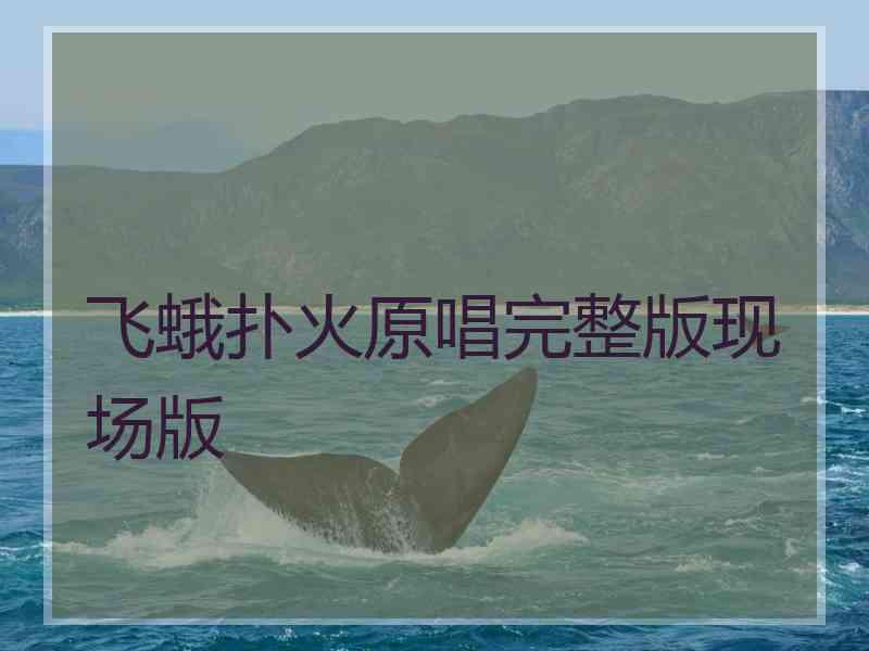 飞蛾扑火原唱完整版现场版