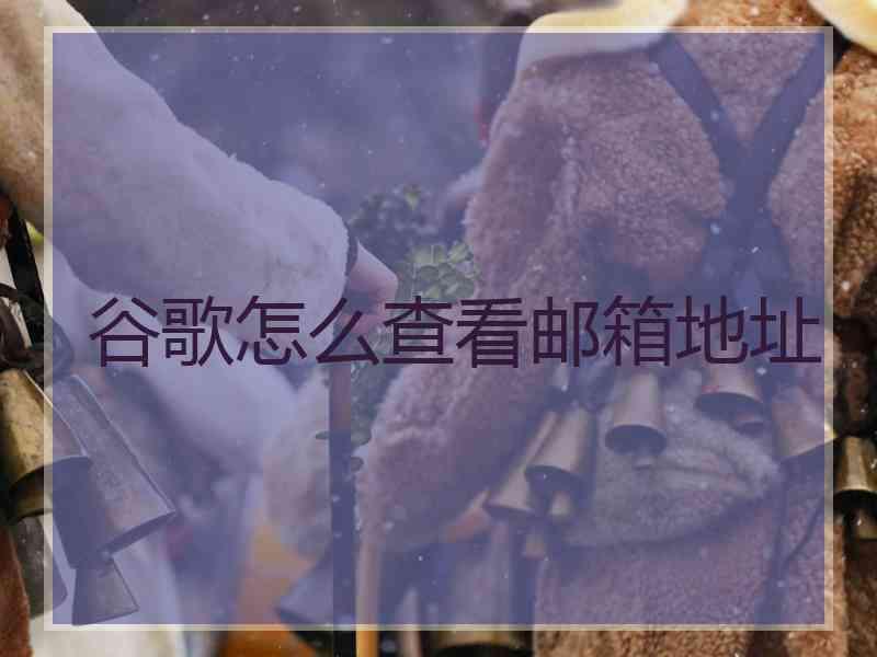 谷歌怎么查看邮箱地址