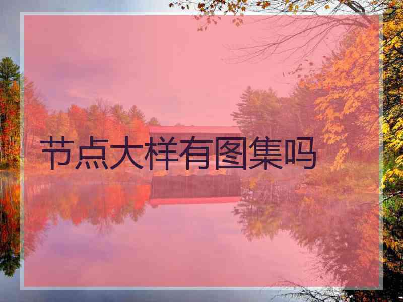 节点大样有图集吗