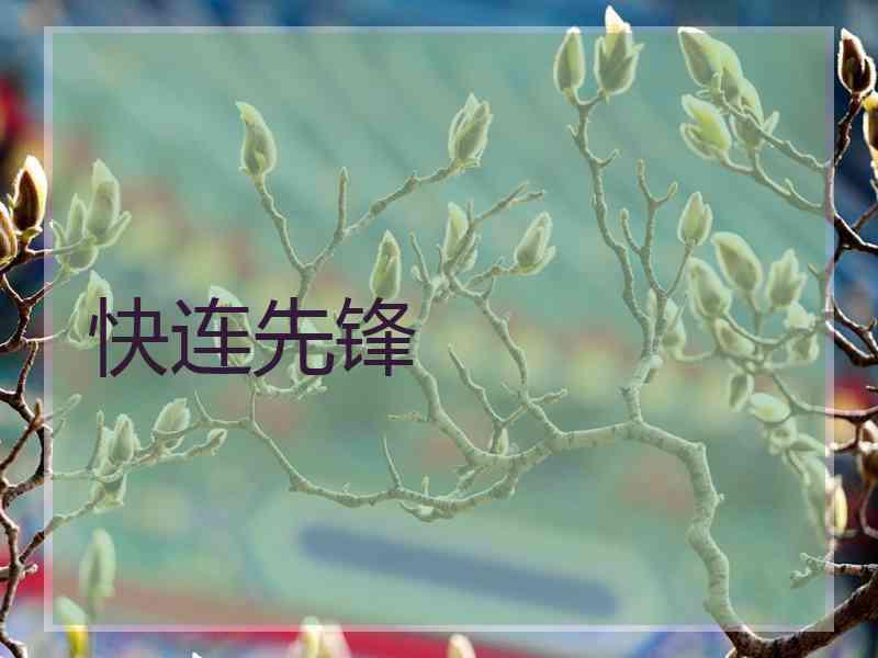 快连先锋