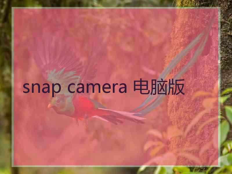 snap camera 电脑版