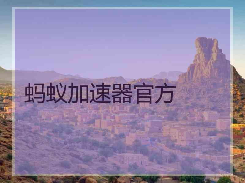 蚂蚁加速器官方