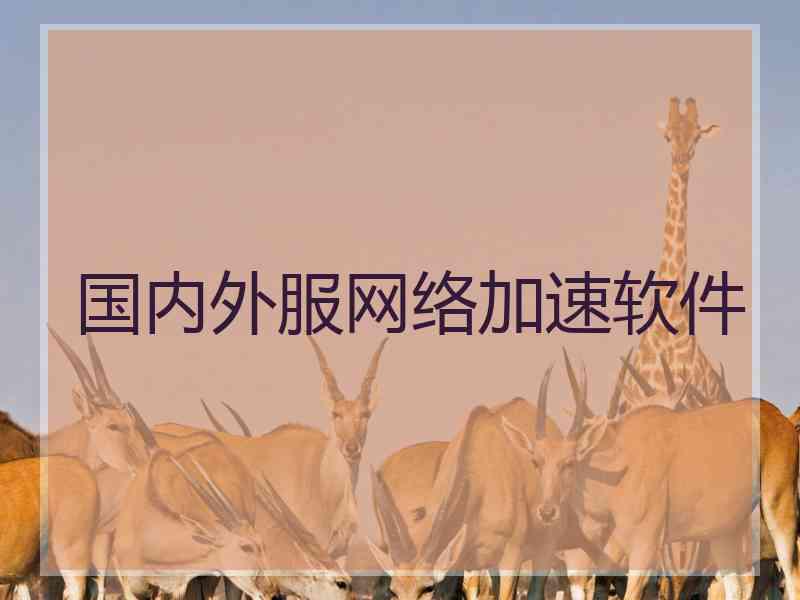 国内外服网络加速软件