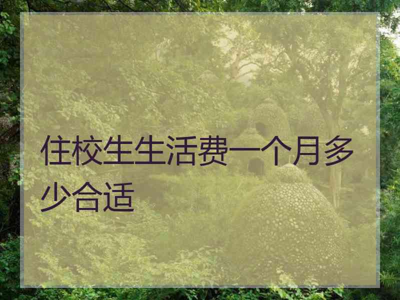 住校生生活费一个月多少合适