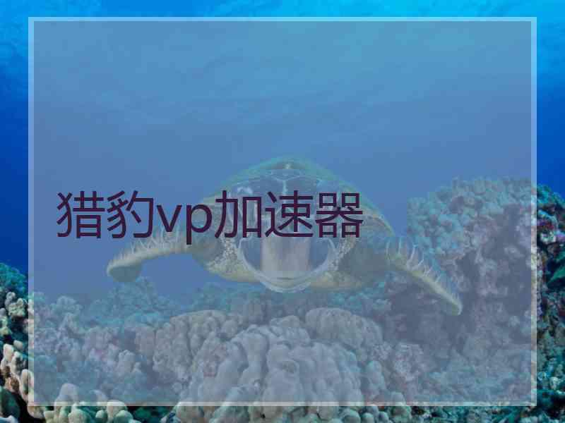 猎豹vp加速器