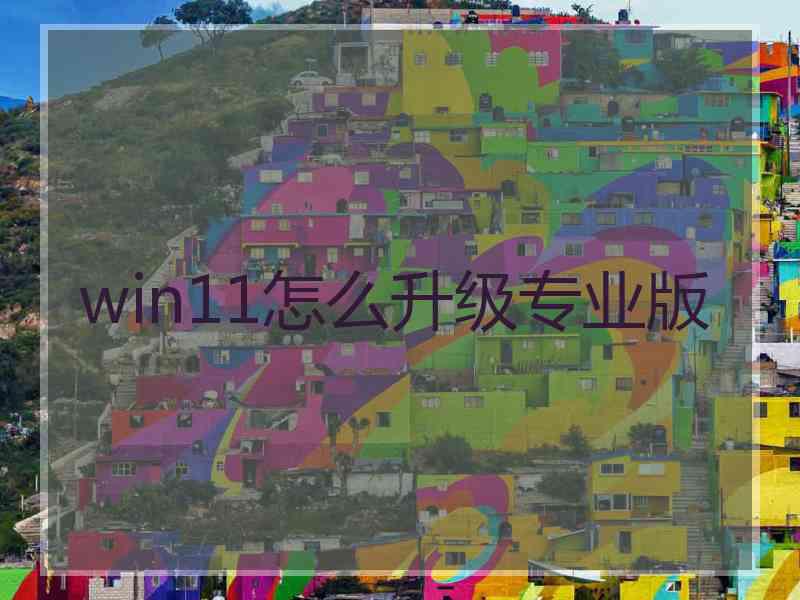 win11怎么升级专业版