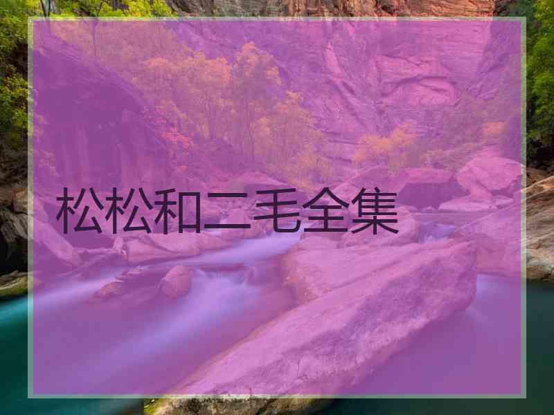 松松和二毛全集