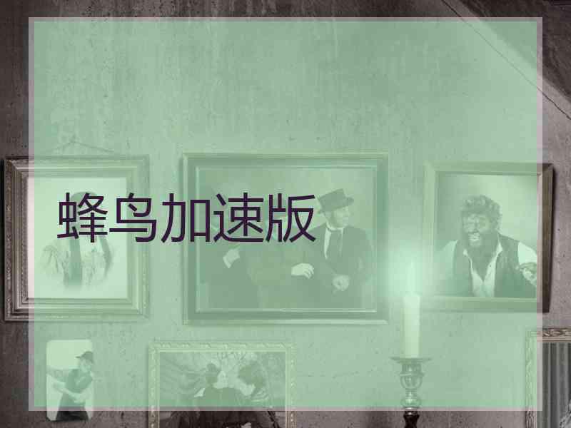 蜂鸟加速版