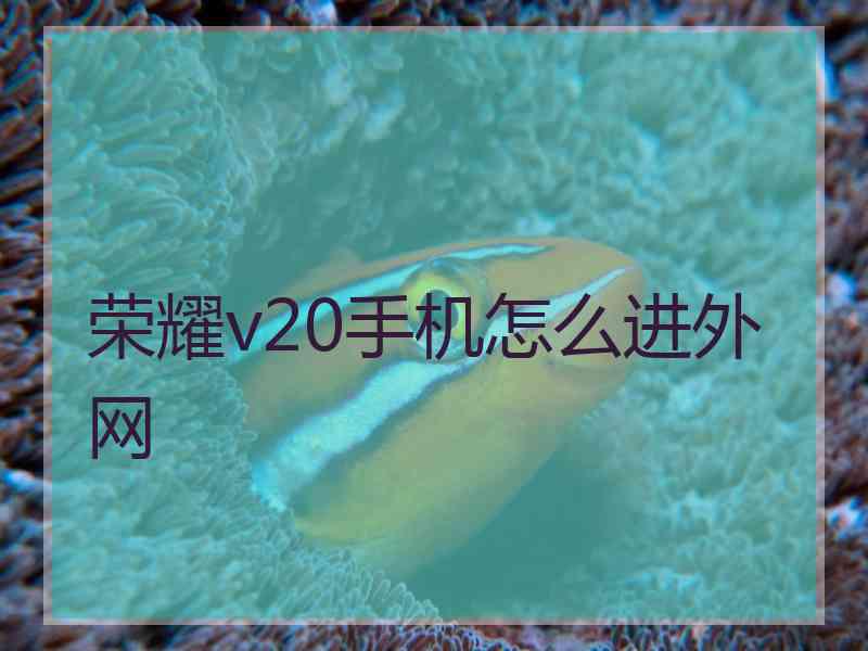 荣耀v20手机怎么进外网