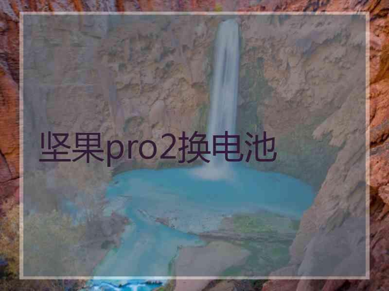 坚果pro2换电池