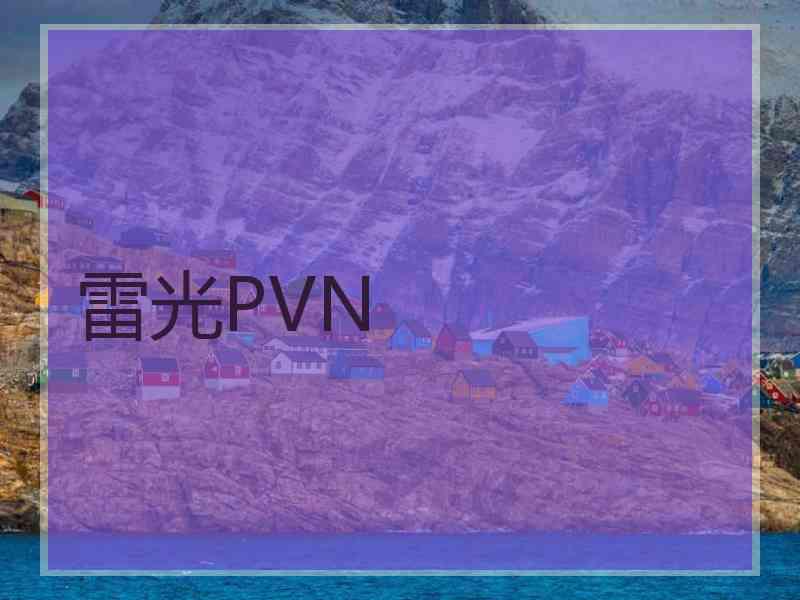 雷光PVN