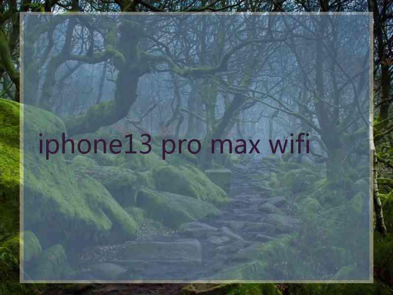 iphone13 pro max wifi