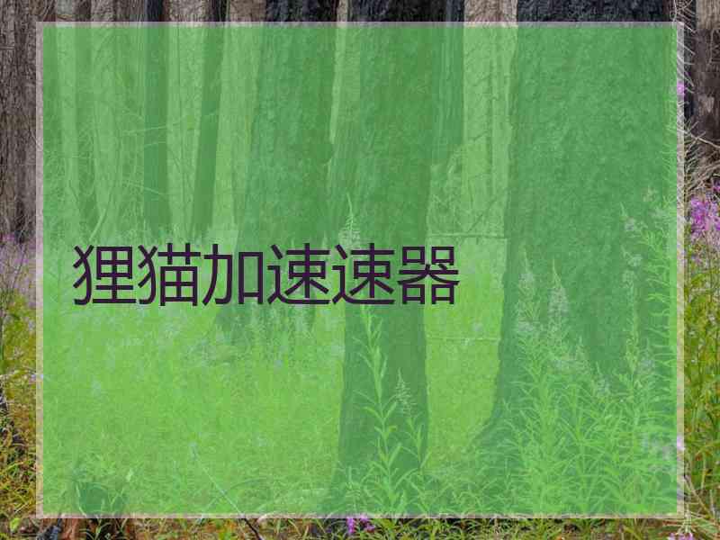 狸猫加速速器