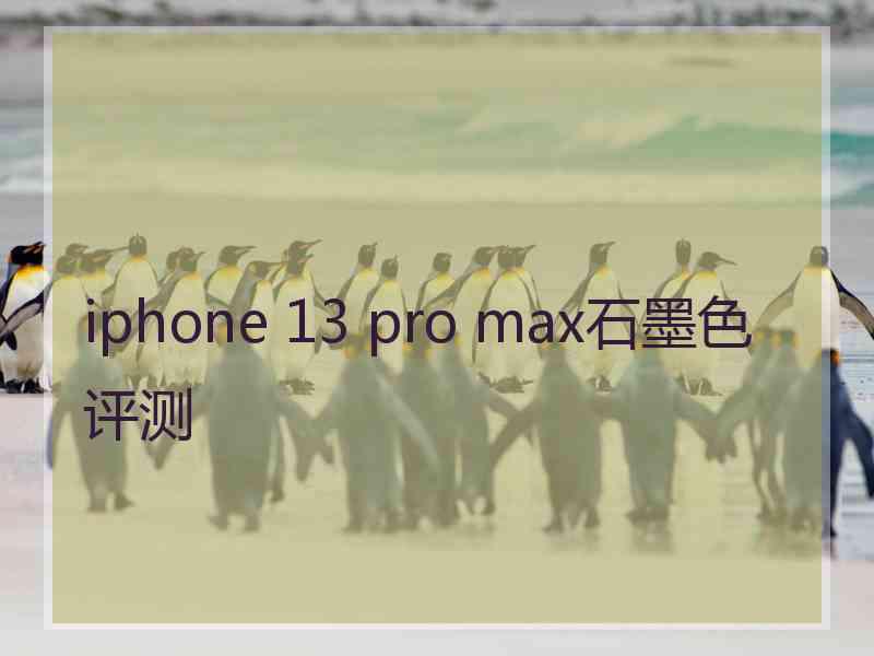 iphone 13 pro max石墨色评测