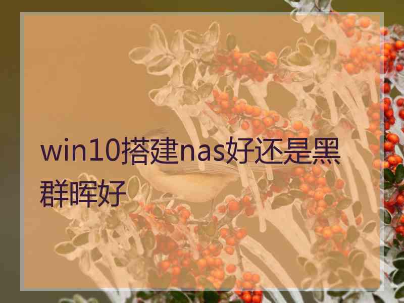 win10搭建nas好还是黑群晖好
