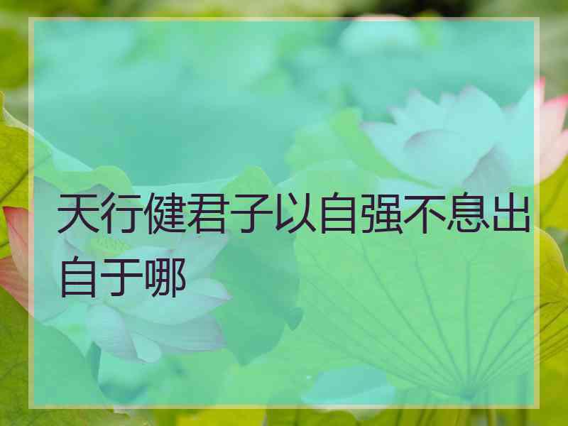 天行健君子以自强不息出自于哪